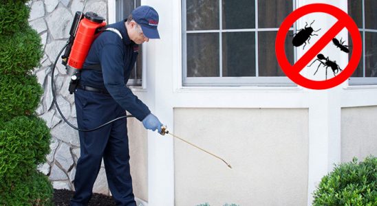Çiçekdağı Fare İlaçlama böcek ilaçlama ve haşere kontrolü — ilaclama-tr.com